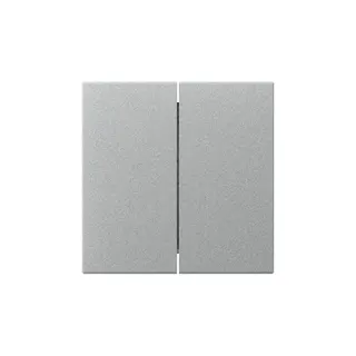 Gira Wippe 349526 2f gerade Sys.55 F Alu