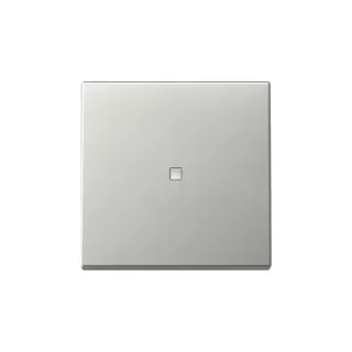 Gira Wippe 3290600 Kontrollf.Sys.55 es