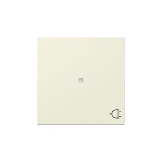 Gira Wippe 329101 Kontrollf.+Symb.Steckd.Sys.55 cws