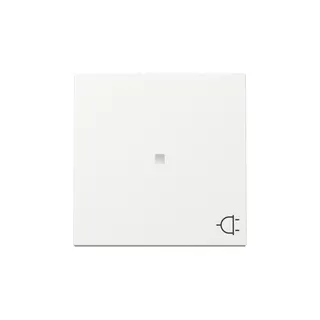 Gira Wippe 329103 Kontrollf.+Symb.Steckd.Sys.55 rws
