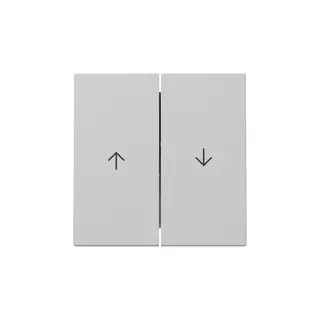 Gira Wippe 3294015 2f Pfeil Sys.55 gr m