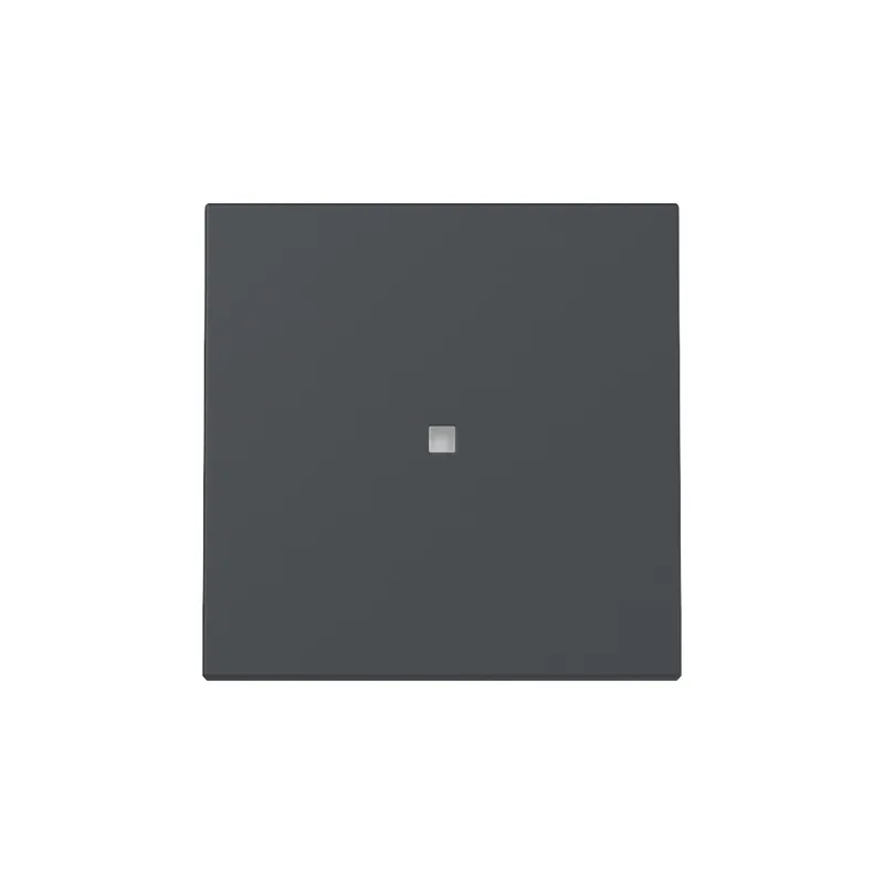Gira Wippe 329028 Kontrollf.Sys.55 anthr