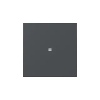 Gira Wippe 329028 Kontrollf.Sys.55 anthr