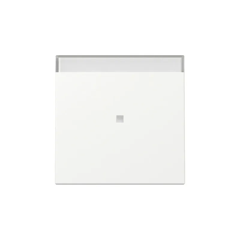 Gira Wippe 367027 Kontrollf.+BSF Sys.55 rws m