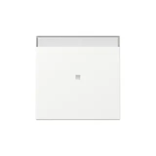 Gira Wippe 367027 Kontrollf.+BSF Sys.55 rws m