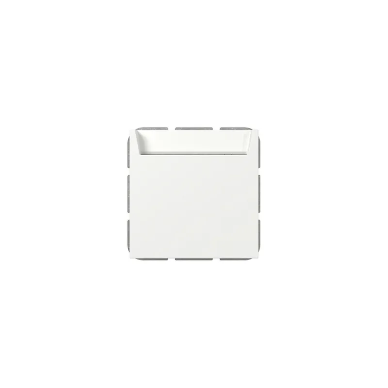 Gira Hotel Card Wechsler 314027 bel.BSF Sys.55 rws m