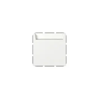 Gira Hotel Card Wechsler 314027 bel.BSF Sys.55 rws m