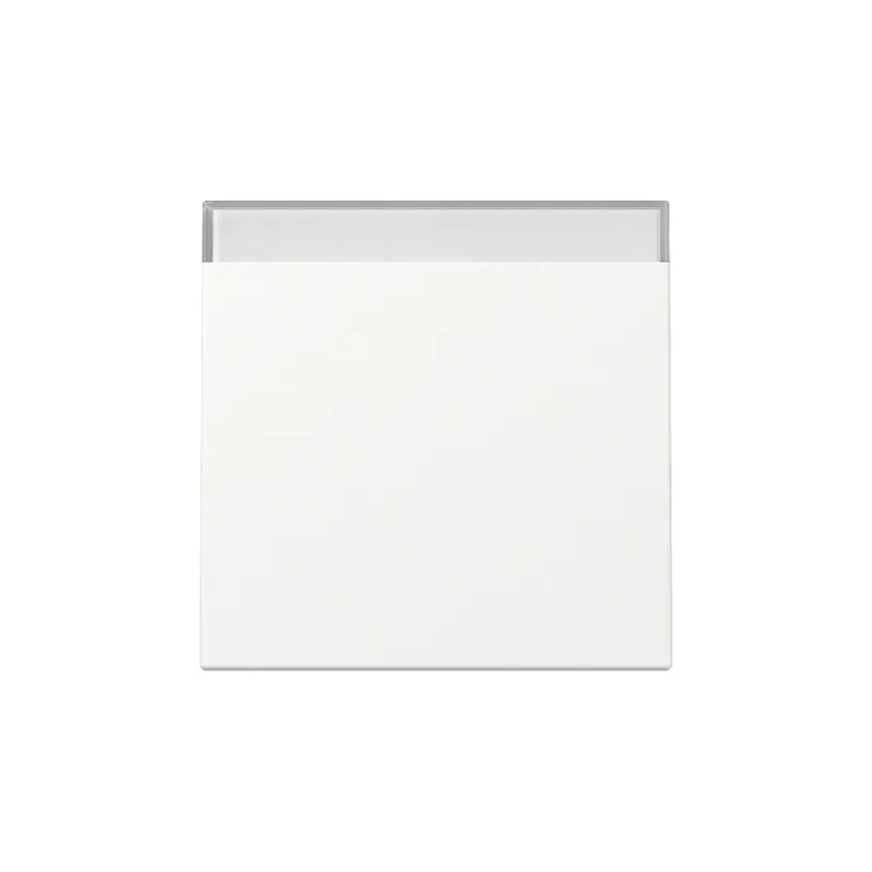 Gira Wippe 329927 BSF Sys.55 rws m