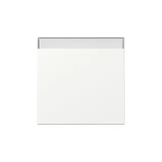 Gira Wippe 329927 BSF Sys.55 rws m