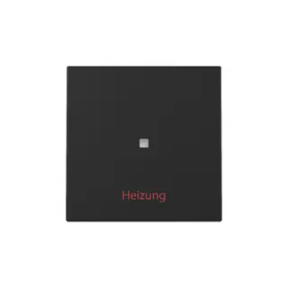 Gira Wippe Kontrollf.+Heizung Ein/Aus Sys.55 sw m