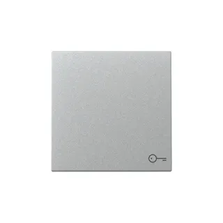 Gira Wippe 328726 Symb.Tür Sys.55 F Alu