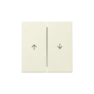 Gira Wippe 329401 2f Pfeil Sys.55 cws