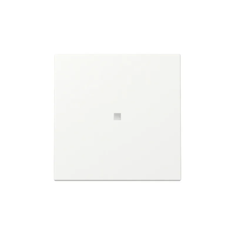 Gira Wippe 329027 Kontrollf.Sys.55 rws m