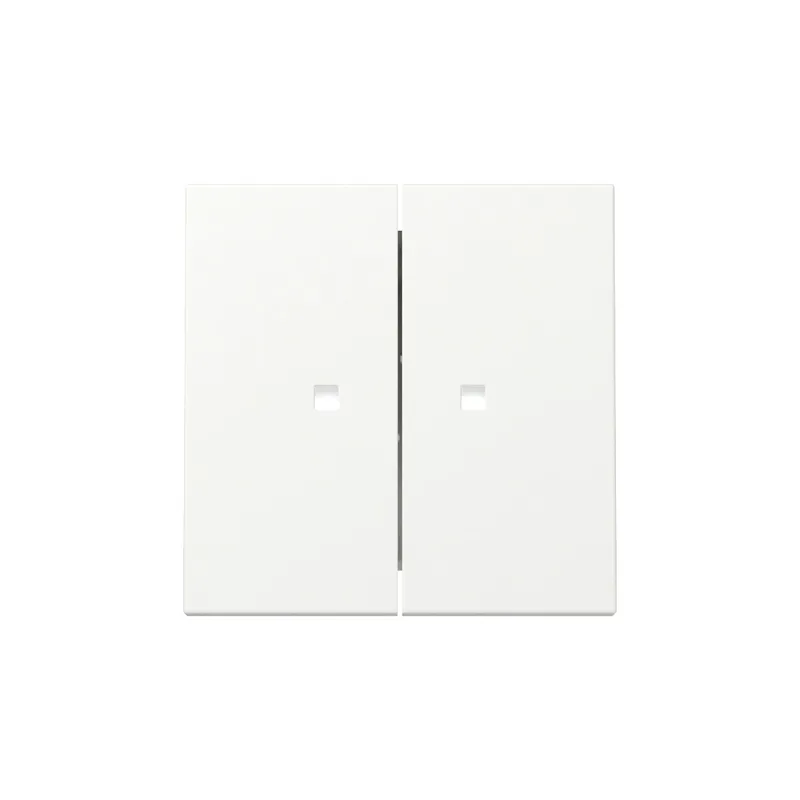 Gira Wippe 363127 2f Kontrollf.Sys.55 rws m