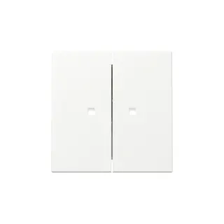 Gira Wippe 363127 2f Kontrollf.Sys.55 rws m