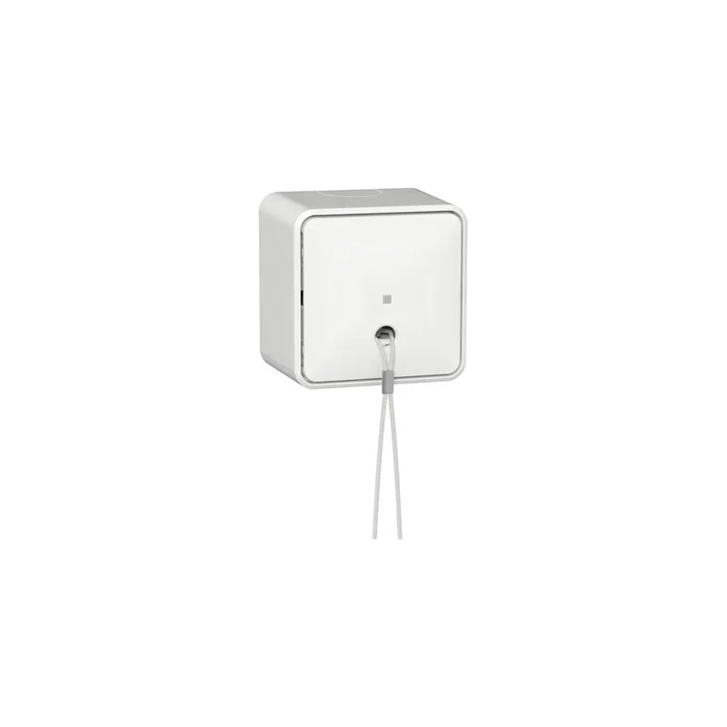 Gira Zugschalter 314613 AusWe AP rws