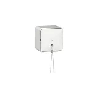 Gira Zugschalter 314613 AusWe AP rws