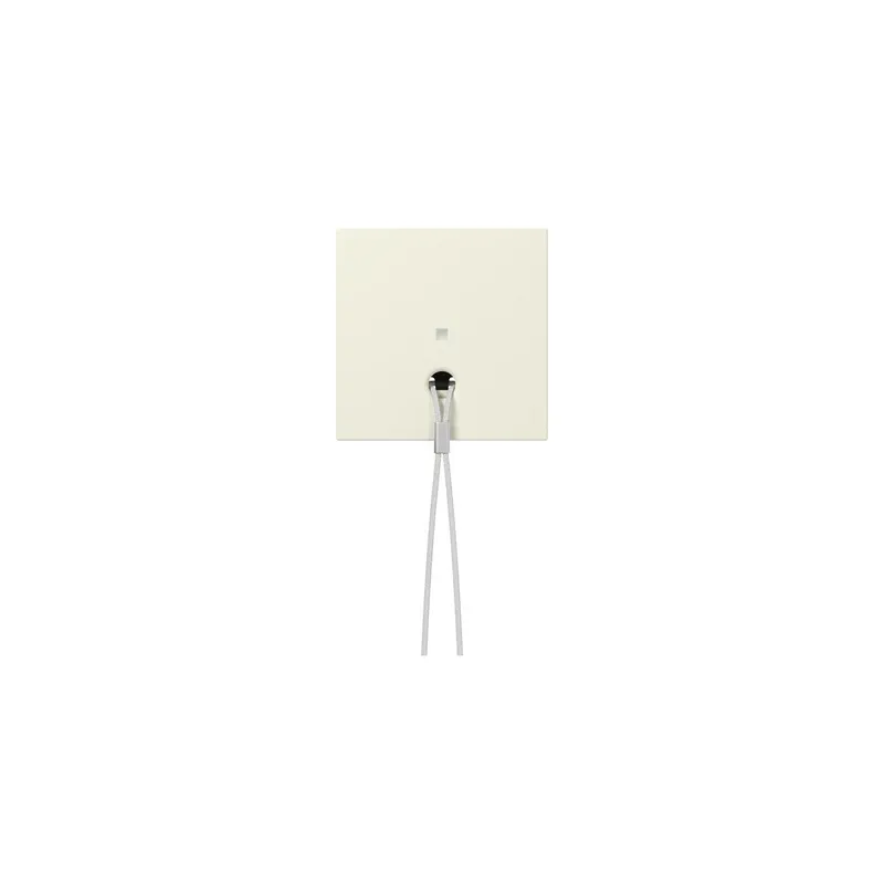 Gira Abdeckung 363801 Kontrollf.Zugschalter Sys.55 cws