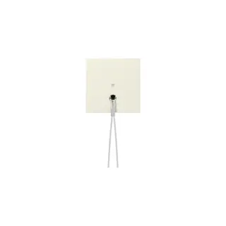 Gira Abdeckung 363801 Kontrollf.Zugschalter Sys.55 cws