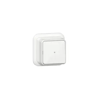 Gira Wippschalter 311611 Kontroll AusWe+K/P AP rws