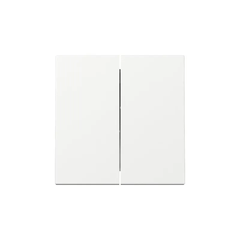 Gira Wippe 329503 2f Sys.55 rws