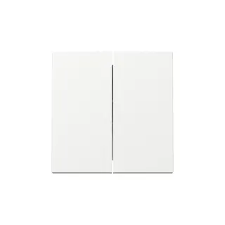 Gira Wippe 329503 2f Sys.55 rws