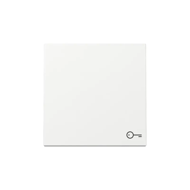 Gira Wippe 328703 Symb.Tür Sys.55 rws m