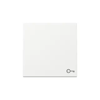 Gira Wippe 328703 Symb.Tür Sys.55 rws m