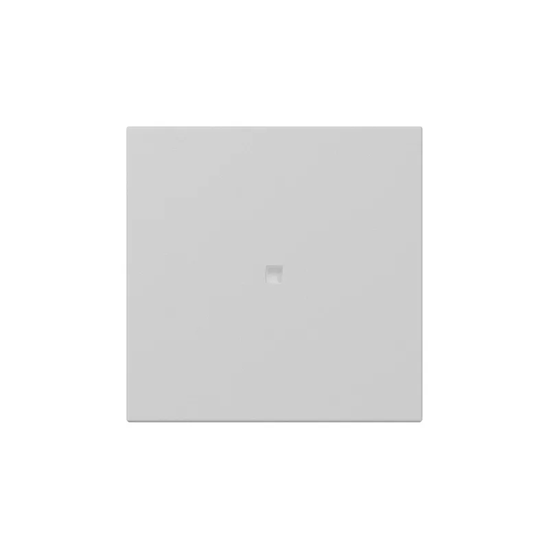 Gira Wippe 3490015 gerade Kontrollf.Sys.55 gr m
