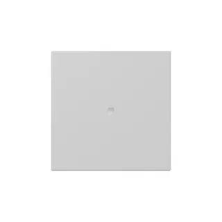 Gira Wippe 3490015 gerade Kontrollf.Sys.55 gr m