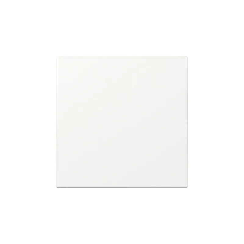 Gira Wippe 329627 Sys.55 rws m