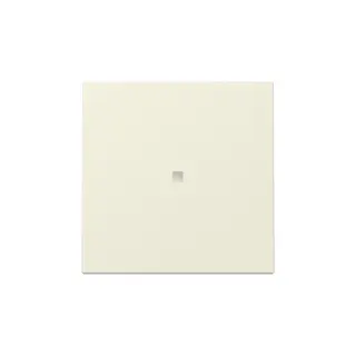 Gira Wippe 329001 Kontrollf.Sys.55 cws