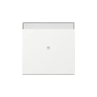 Gira Wippe 367003 Kontrollf.+BSF Sys.55 rws