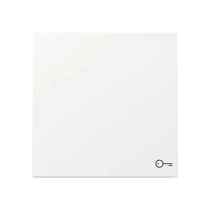 Gira Wippe 328770 Sym.Tür FL RW