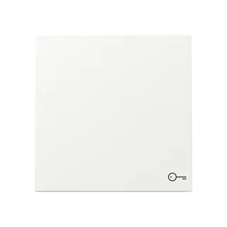 Gira Wippe 328770 Sym.Tür FL RW