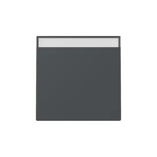 Gira Wippe 329928 BSF Sys.55 anthr