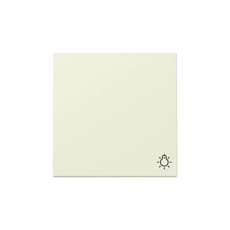 Gira Wippe 328501 Symb.Licht Sys.55 cws