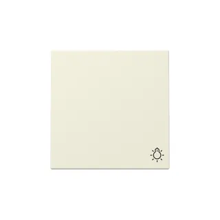 Gira Wippe 328501 Symb.Licht Sys.55 cws