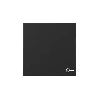 Gira Wippe 3287005 Symb.Tür Sys.55 sw m