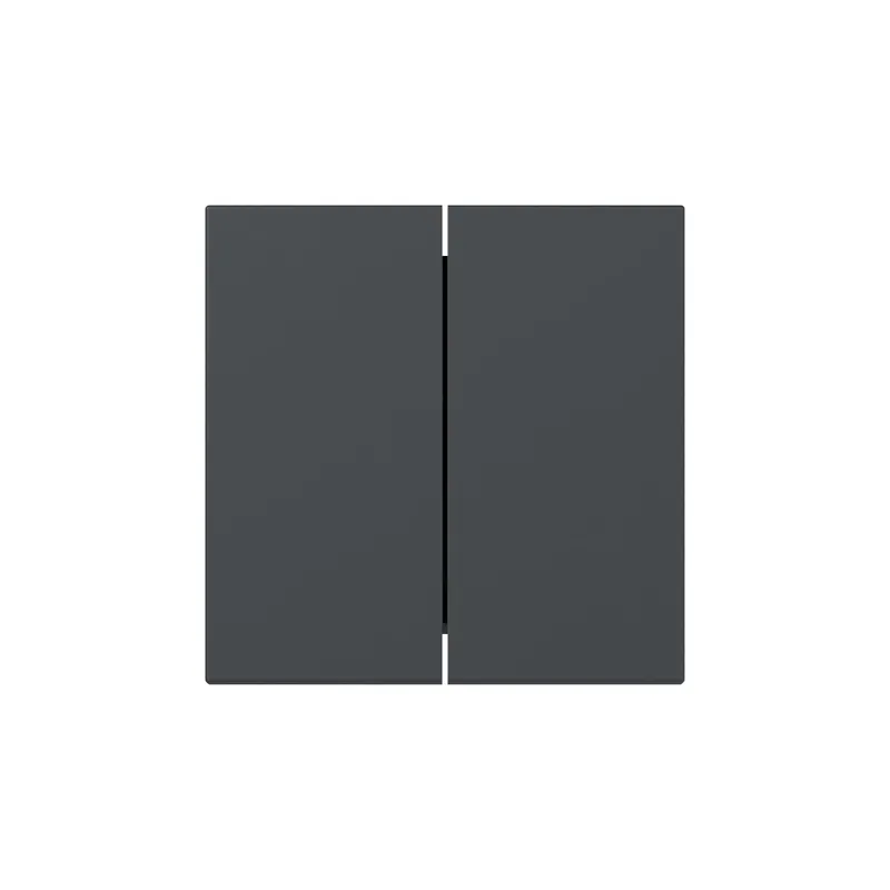 Gira Wippe 349528 2f gerade Sys.55 anthr