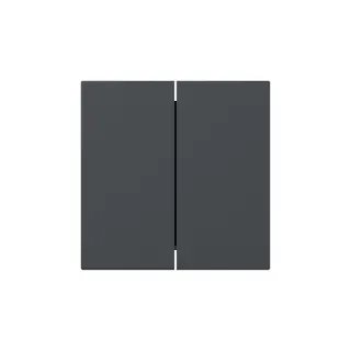 Gira Wippe 349528 2f gerade Sys.55 anthr