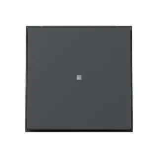 Gira Wippe 329067 Kontrollf.TX44 WG UP anthr