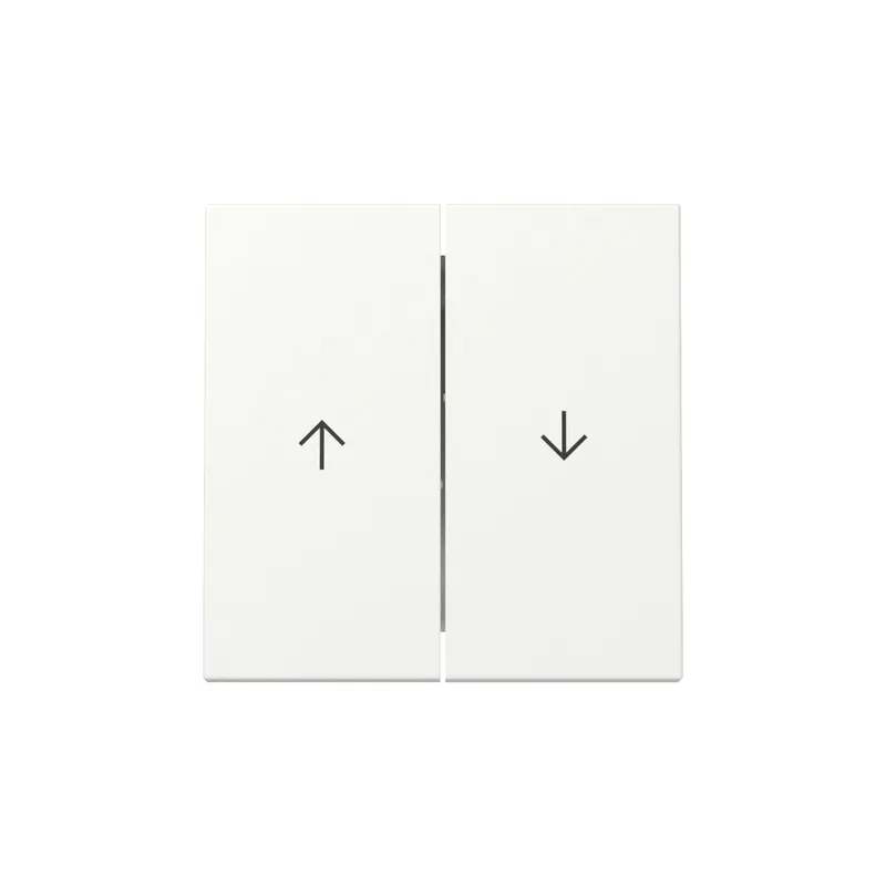 Gira Wippe 329427 2f Pfeil Sys.55 rws m