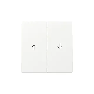 Gira Wippe 329427 2f Pfeil Sys.55 rws m