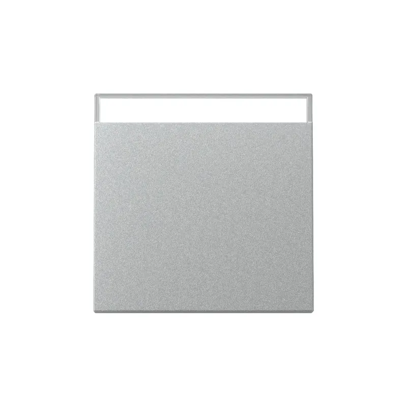 Gira Wippe 329926 BSF Sys.55 F Alu