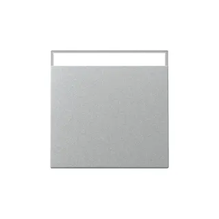 Gira Wippe 329926 BSF Sys.55 F Alu