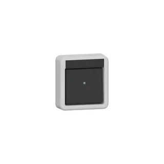 Gira Wippschalter 310635 AusWe OT WG AP gr