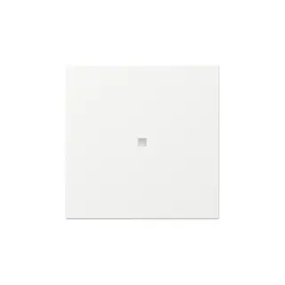 Gira Wippe 349027 gerade Kontrollf.Sys.55 rws m