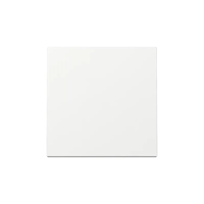 Gira Wippe 329603 Sys.55 rws