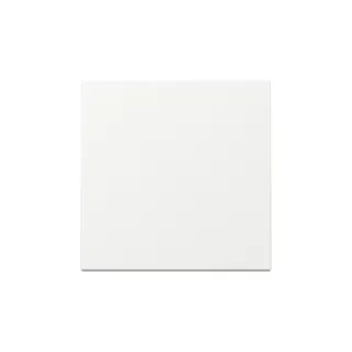 Gira Wippe 329603 Sys.55 rws